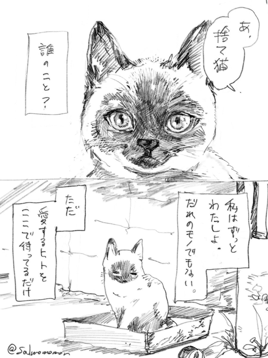 よっしー (@kqSFRKS3ctohj29) / Posts / X