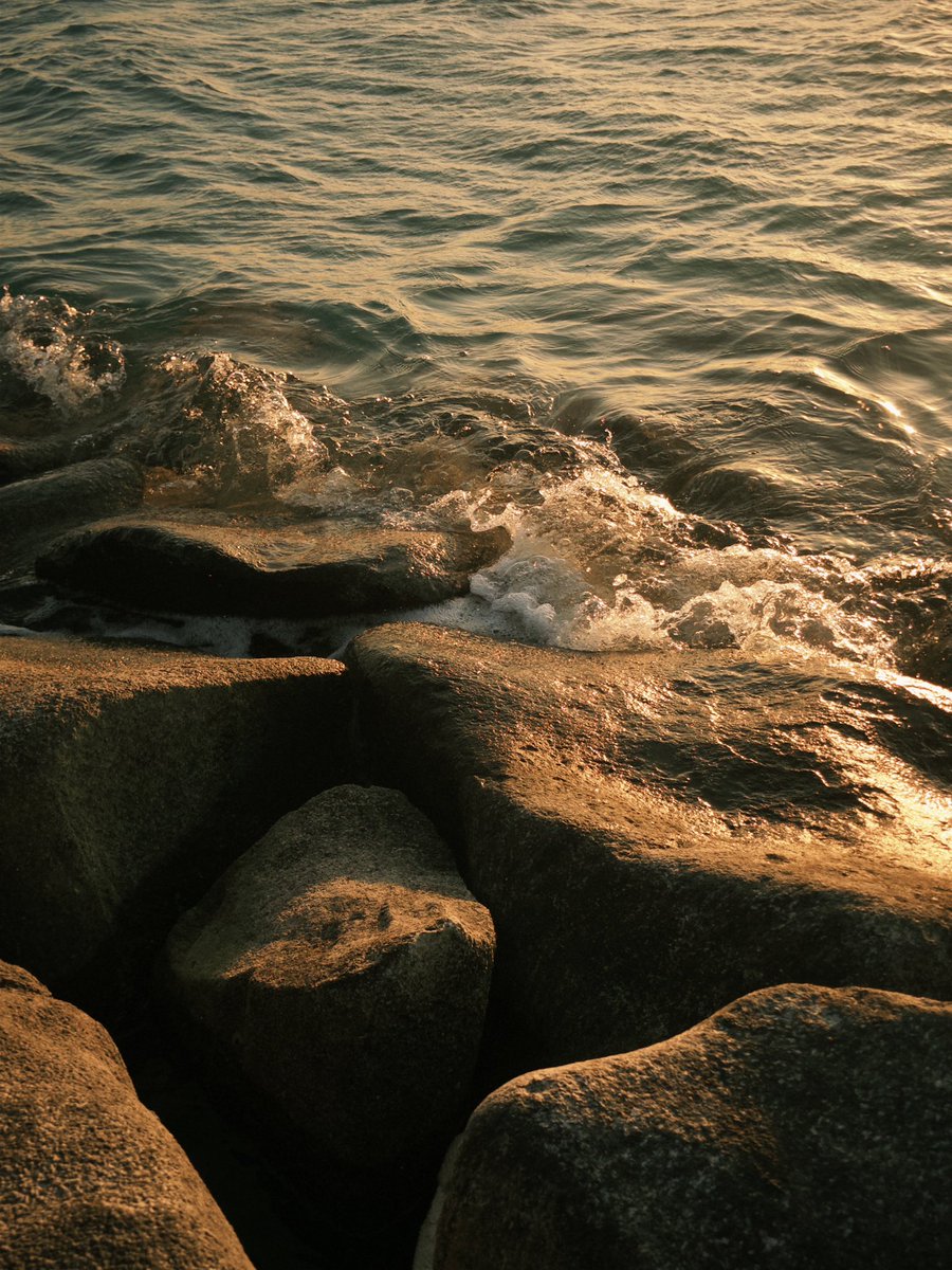 🌼.˚ʚ❀ɞ˚.🌸 tweet media