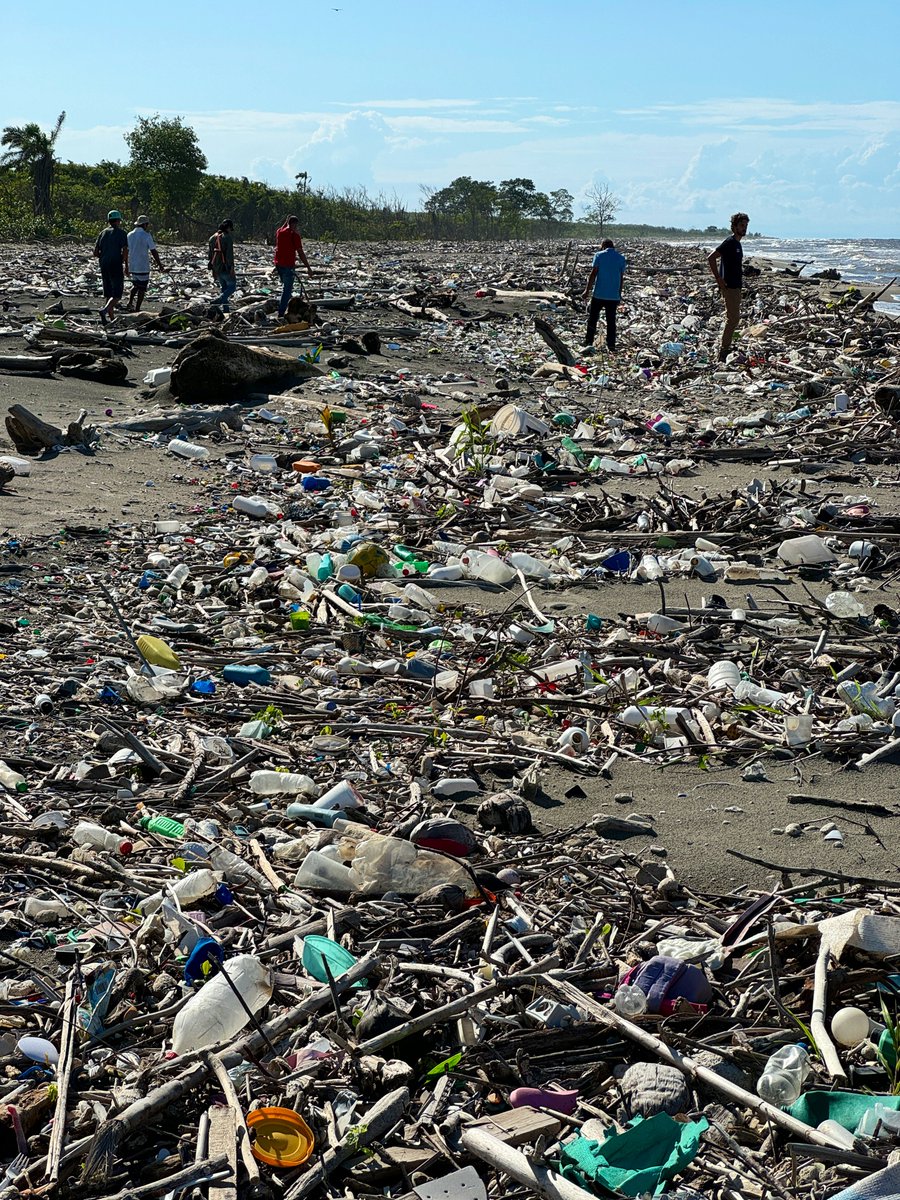 Realized I owe you an update on what’s been going on with <a href="/TheOceanCleanup/">The Ocean Cleanup</a>’s work to clean up the Gulf of Honduras!

Since 2023, we’ve been intercepting trash flowing down Guatemala’s Río Motagua (the most plastic-polluted river on Earth), with steadily increasing performance.