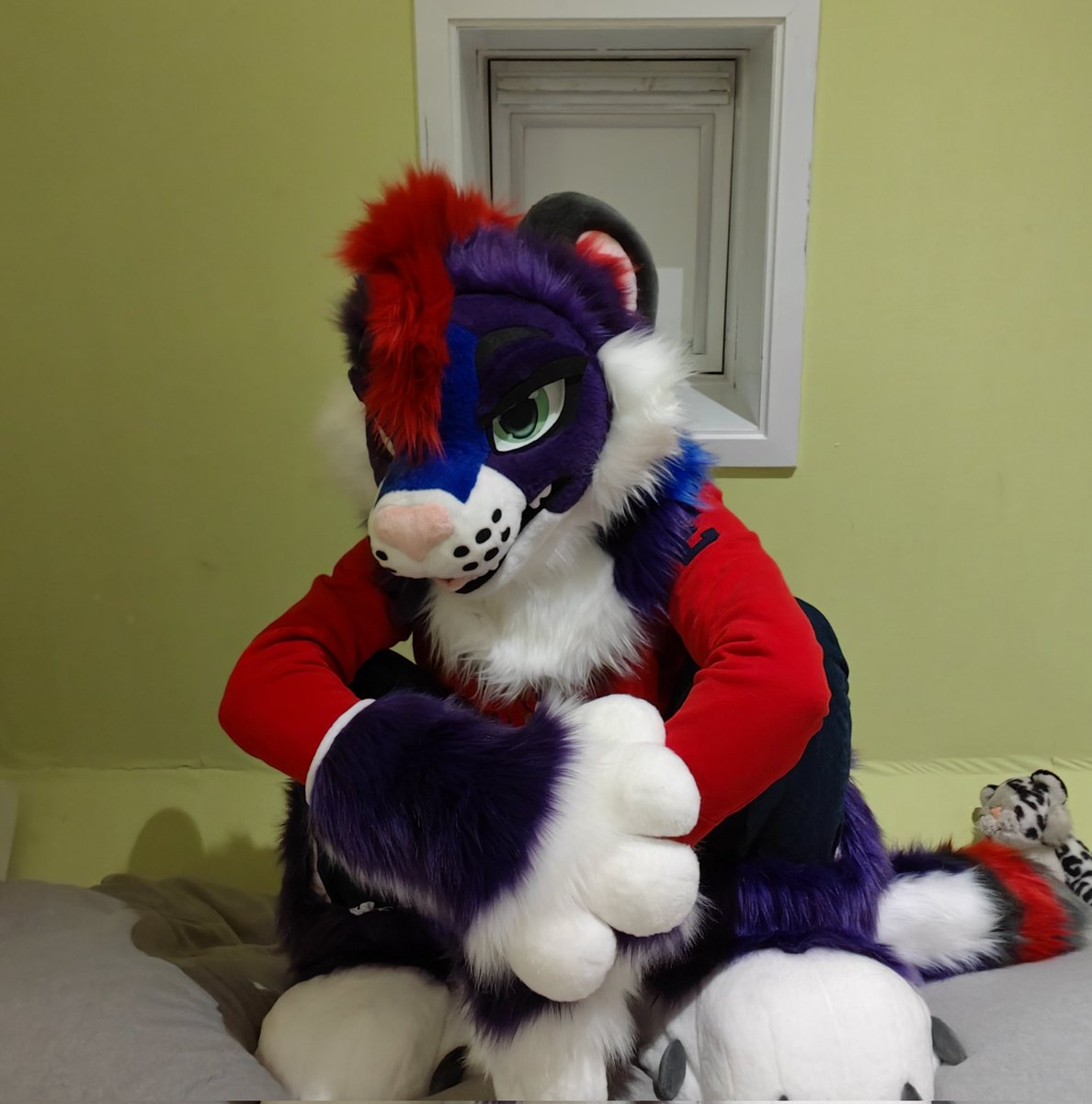 anton6437's tweet photo. This idiot has decided he's now the owner of the bed.

My first #FursuitFriday :3 https://t.co/f96KEIZzyQ