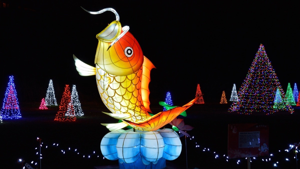 Institute of Fisheries Management tweet media