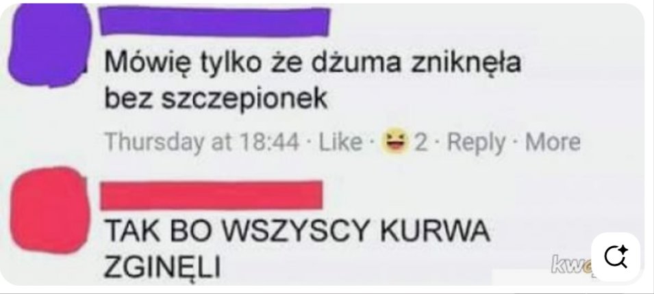 Kicia Łaciata tweet media