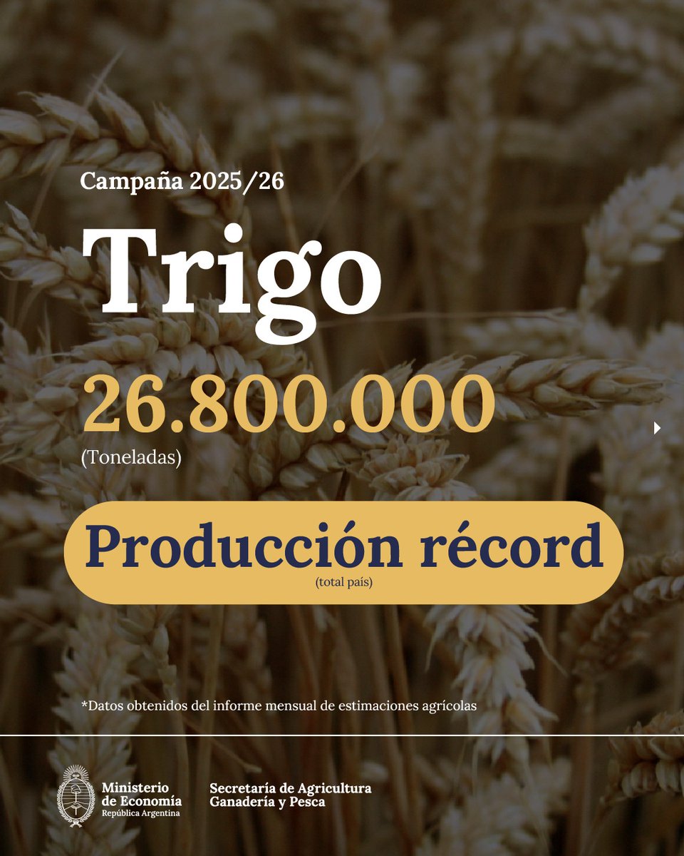 agriculturaar's tweet photo. La campaña de trigo 2025/2026 es histórica a nivel país. A este crecimiento lo acompañó la humedad adecuada de los suelos y la sanidad de los cultivos a lo largo del ciclo. Más info 👉🏽https://t.co/EiBrJVS1vl https://t.co/fwJgA38XkG