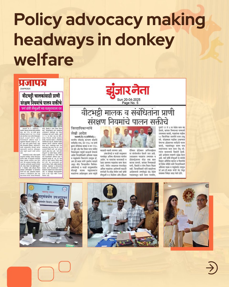 FIAPOIndia's tweet image. 3,000+ working donkeys in Marathwada now have access to care and protection 🐴
What collective action can achieve.
#DonkeyWelfare #WorkingAnimals #AnimalWelfareIndia #Marathwada 💛

Comment “Rules” or “Report” to learn more.