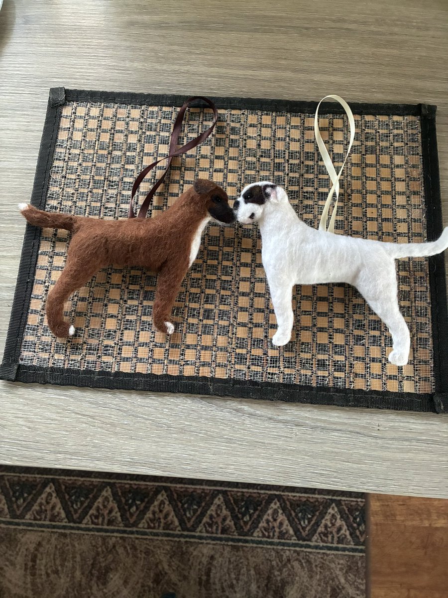 Phoebe aka The Brat(and little sis Florrie) tweet media