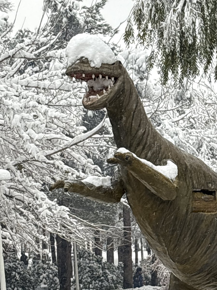 Mohamadrez🇮🇷 tweet media