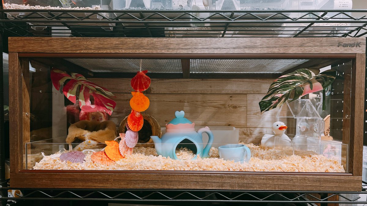 FandK 爬虫類木製ケージ (@mokusei_keiji_2) / Posts / X