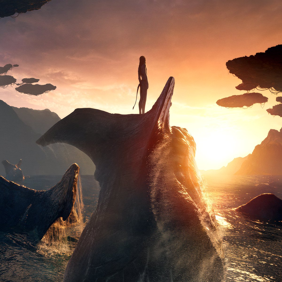 DiscussingFilm tweet media