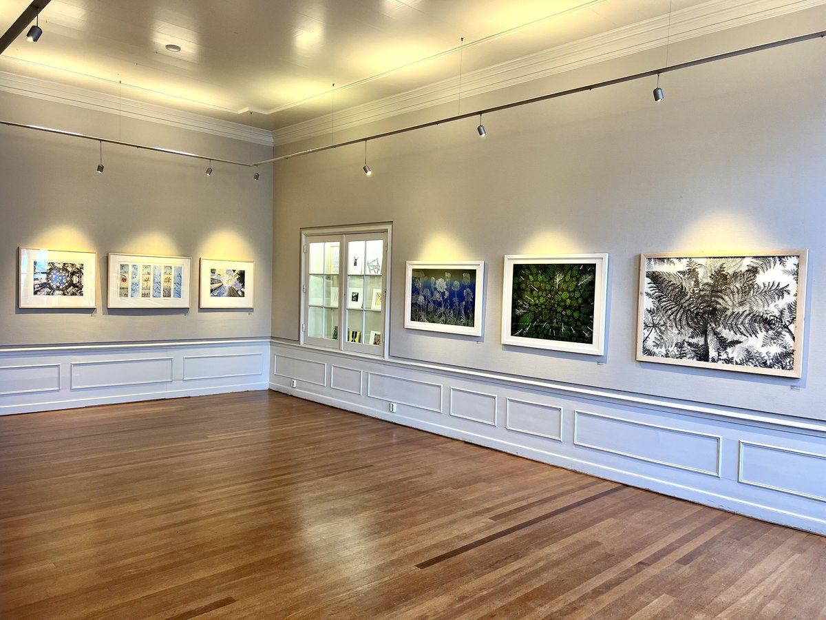 Pulchri Studio tweet media