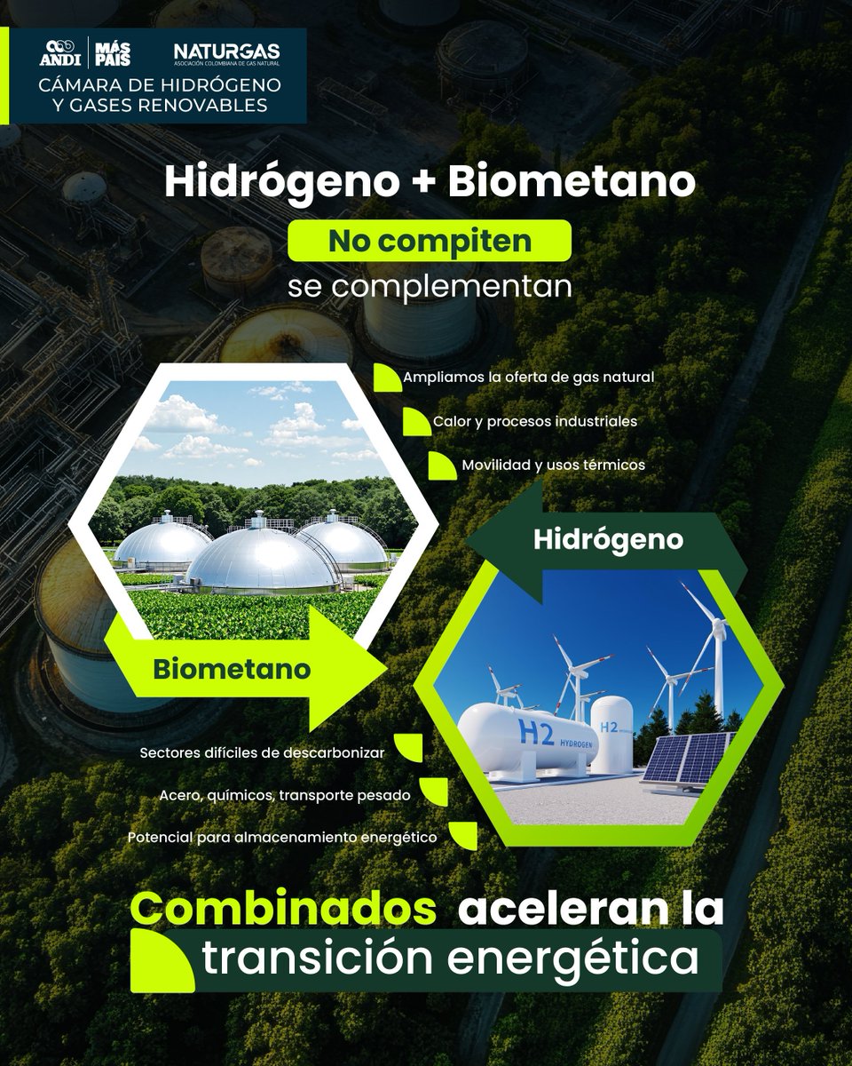 Colombia 🇨🇴habla mucho de hidrógeno… pero ¿Sabías esto? El hidrógeno no compite con el biometano: se complementan.
#MásPaísANDI <a href="/HidrogenoAndNat/">Hidrógeno y Gases Renovables ANDI NATURGAS</a>