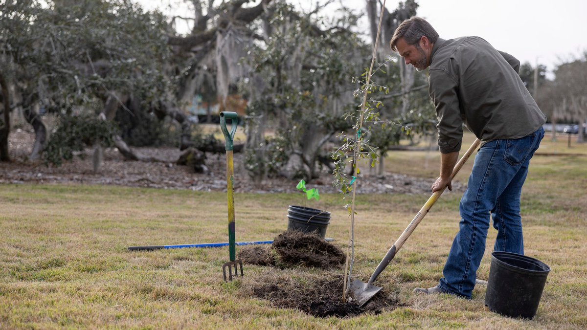 As Southeastern’s Centennial year culminates, we celebrated the dedication of Friendship Grove, a living tribute rooted in shared history and growing toward the future. 🌳

Thank you to everyone who became a part of our history this year and years to come!