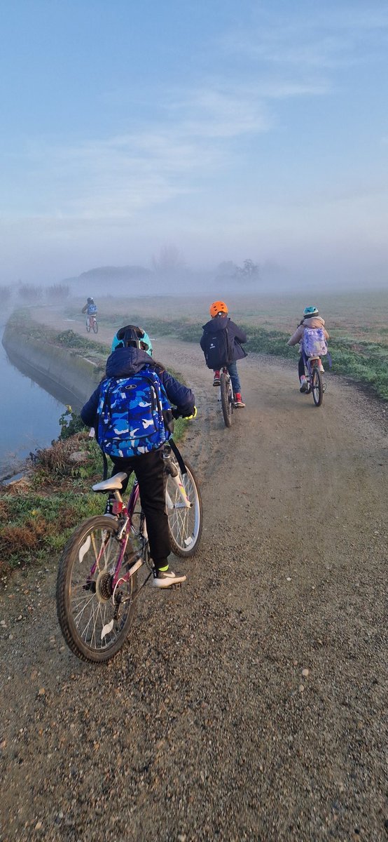 Bicibús escola Espiga de Lleida!

Desde 2021, ininterrompudament 💪

Dia Lleidatanament espectacular avui 😍

Bon Nadal!