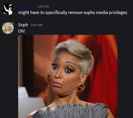 Soph 🐝 tweet media