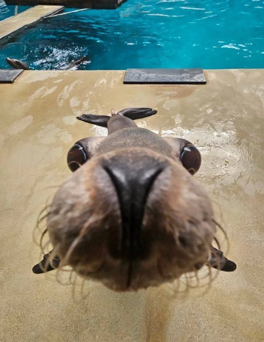 SAIFOU92's tweet image. We still here we still alive $XIAOXIAO

BYTLpMjPLRq9wuB1QsyA4rMYrMrRnUqPsQTtFuwPpump