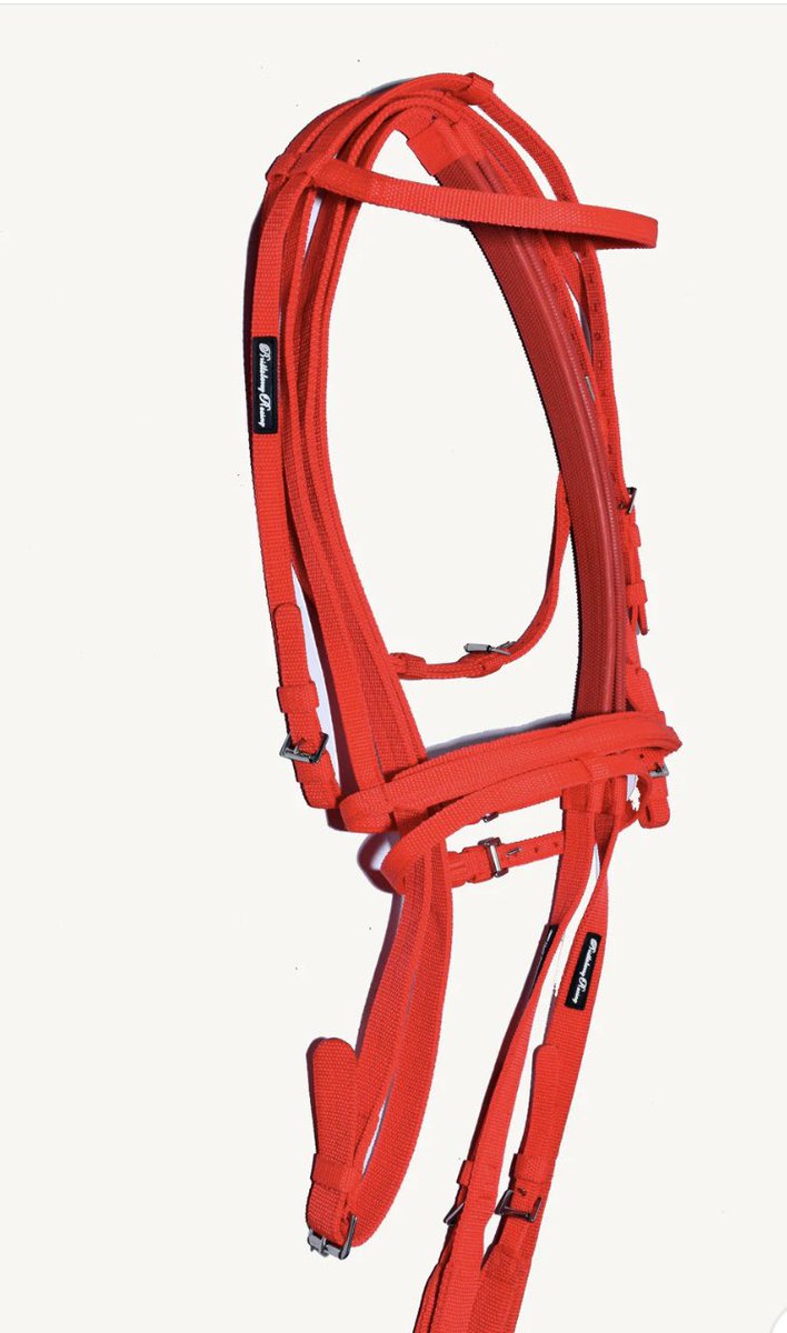 WinnersEquine's tweet photo. Bridleberry racing tack!!! Leather or nylon!! https://t.co/5rdQURO4Xw