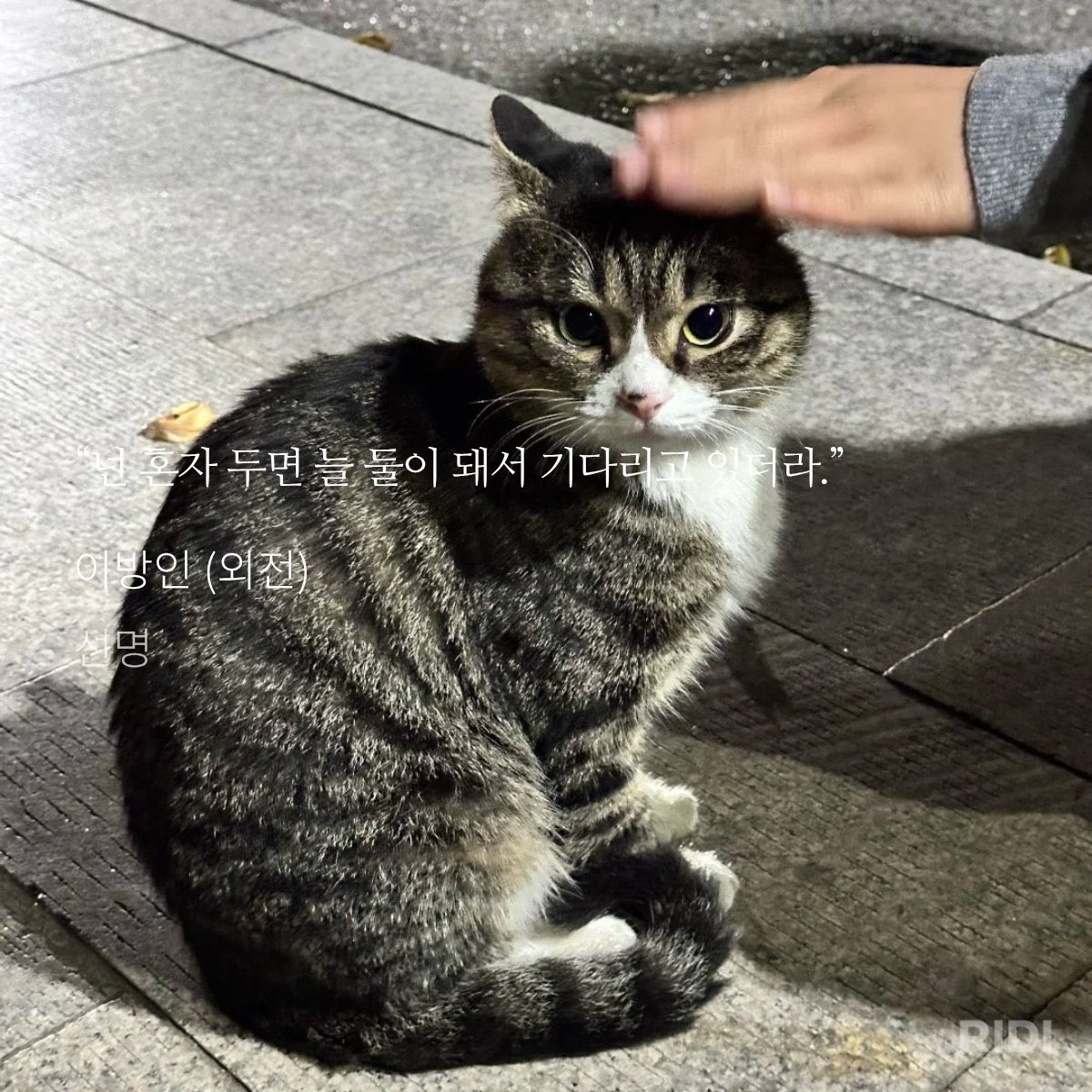 예쁜걸어떡ㅎㅐ 。。
이건 검사님이 감수하셔야됩니다 。