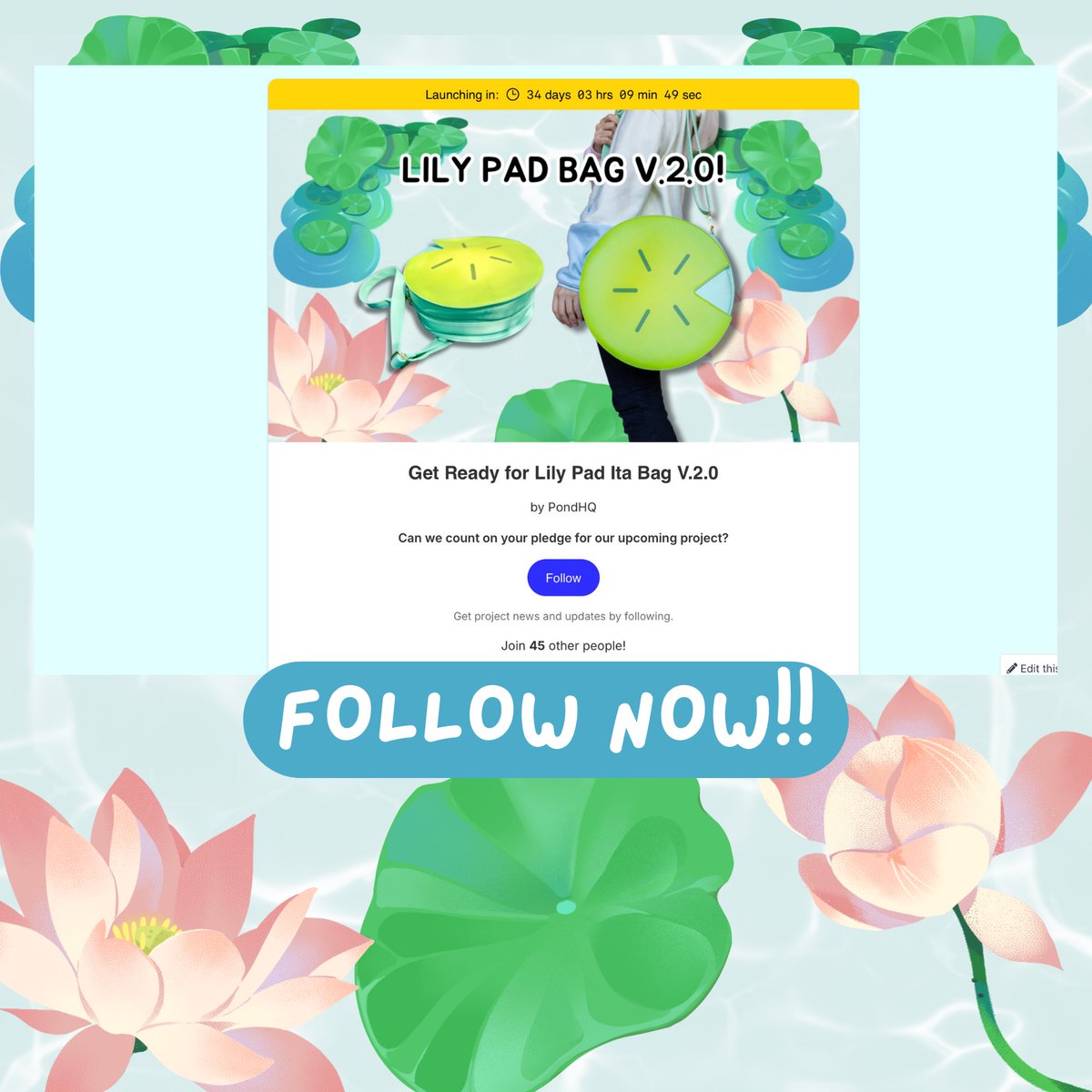 PondHQ 🪷 tweet media