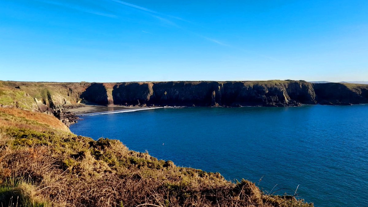 Christopher Barter D tweet media