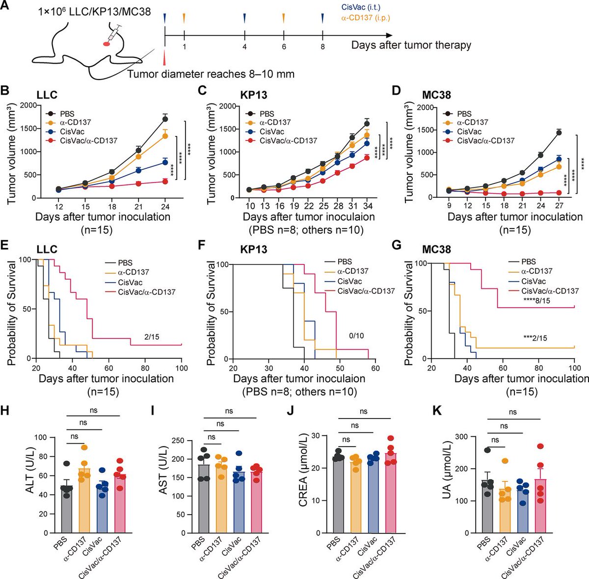Journal for ImmunoTherapy of Cancer tweet media