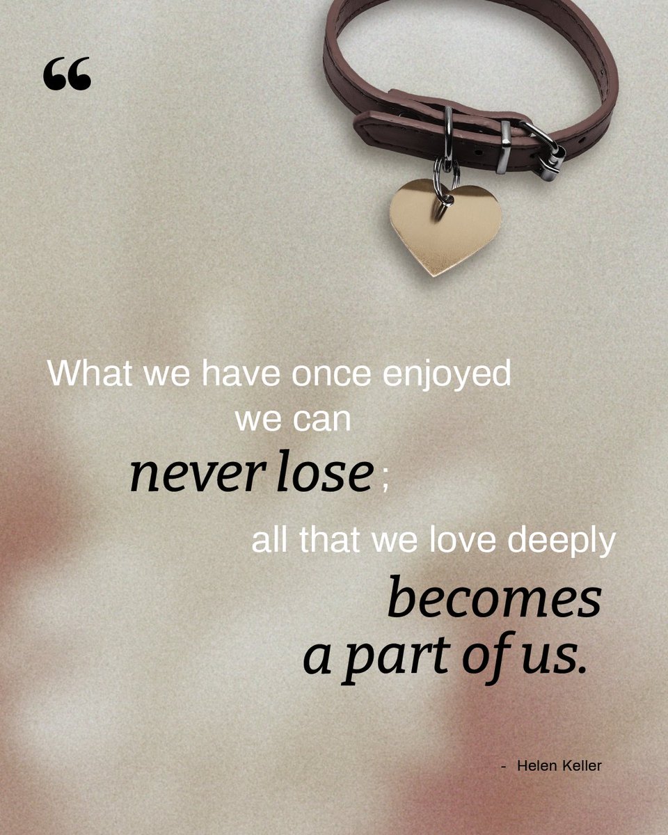 OVC Pet Trust tweet media