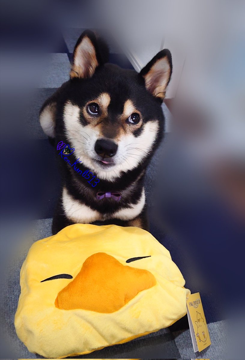 ☆ちょこぼ☆ページ ChocoLate Bomb!!(ちょこぼ) 公式サイト