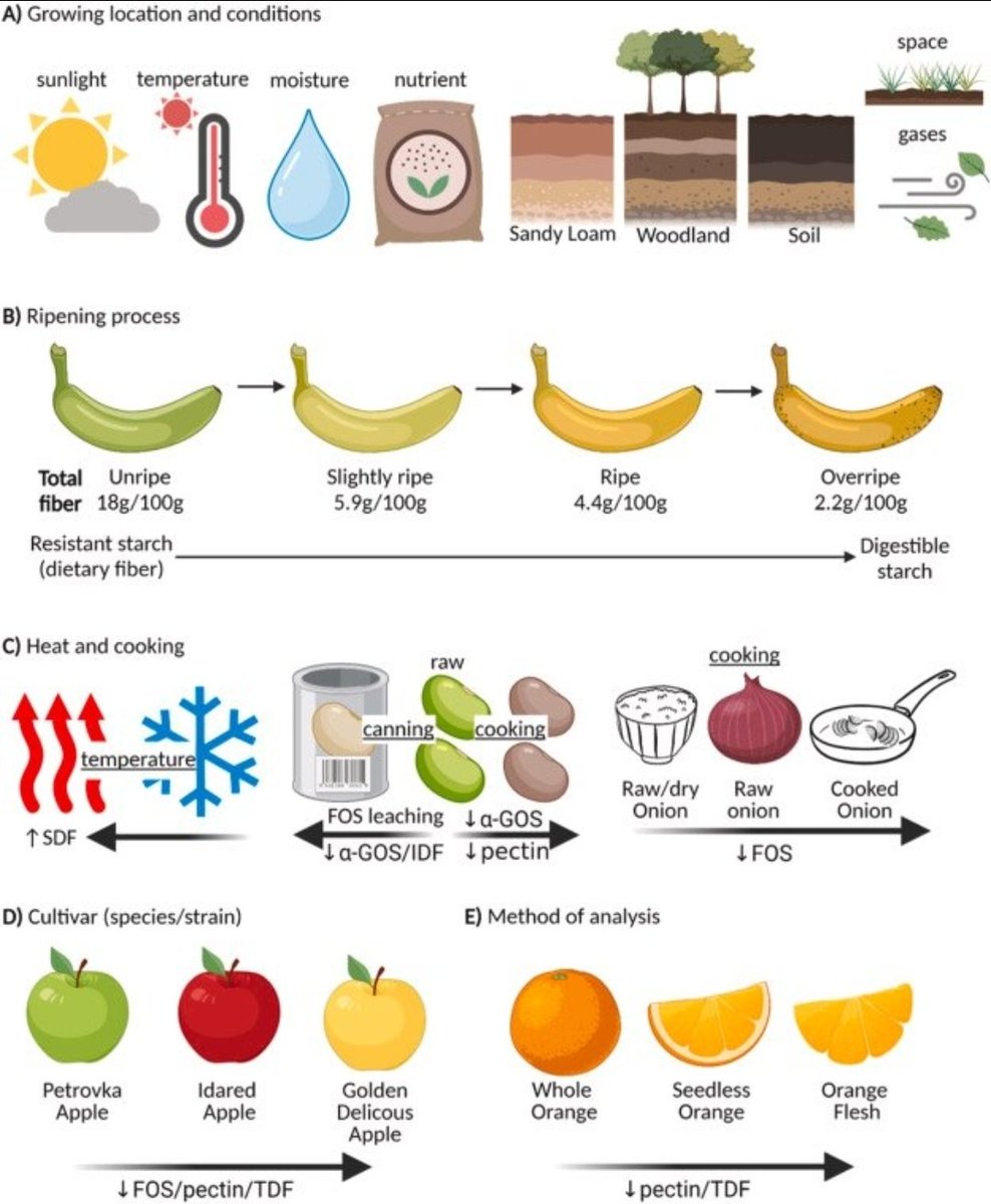 Dietary fiber is not a fixed nutrient.
It’s a moving target defined by plant biology, chemistry, processing, and measurement.

2 people can eat the same food and experience 2 different fiber profiles

🌱 Growing conditions (sunlight, temperature, moisture, soil type) change how