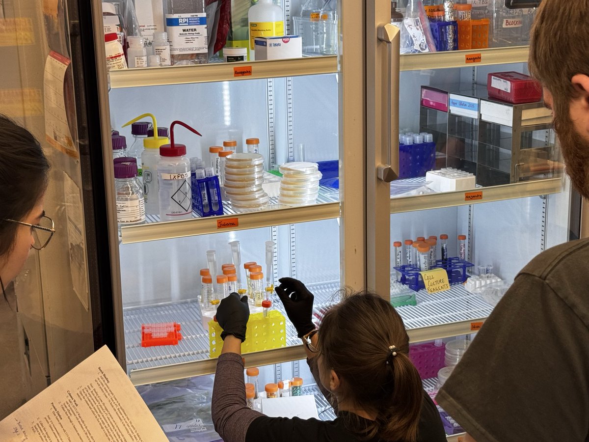 Alejandro Olmedo-Velarde tweet media