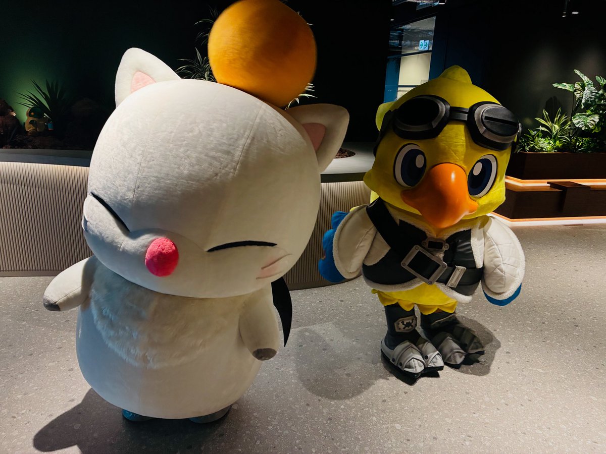 何しよん？
#FFXIV #FF14 
#THEPRIMALS 
#かわよ