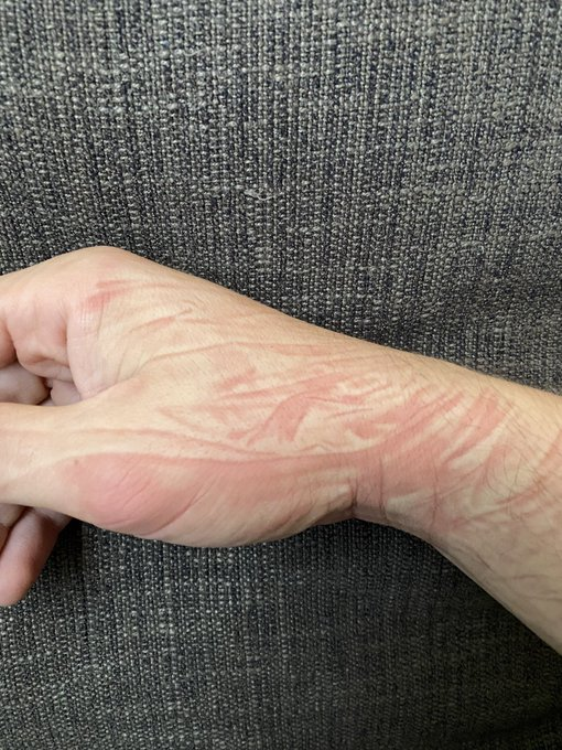 señales de que la siesta ha sido buena: