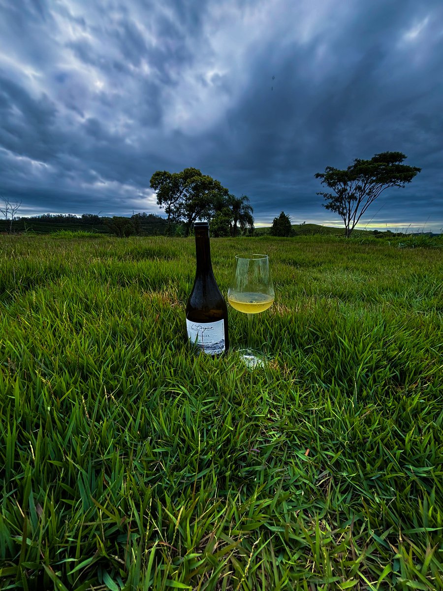 Colecionando mini derrotas, grandes vitórias e aventuras :)