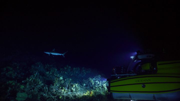 Dalio Philanthropies tweet media