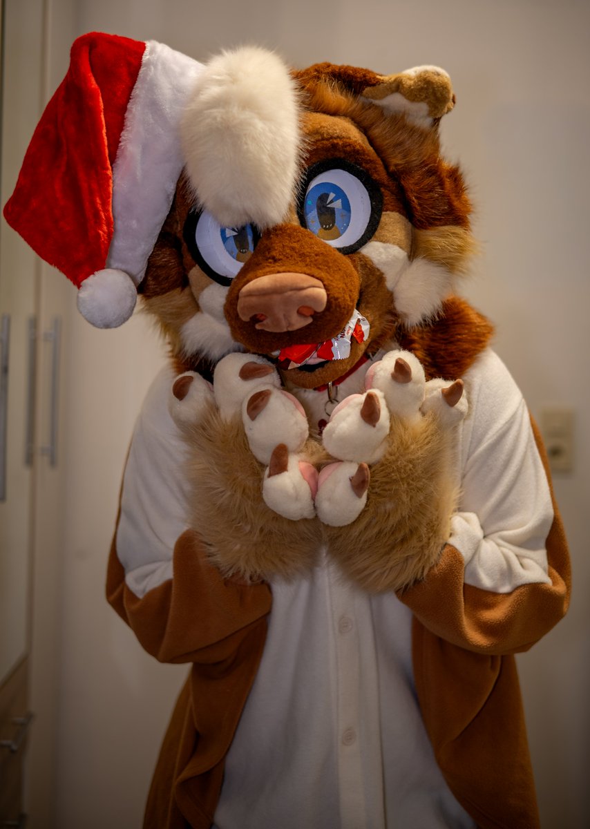 KeksiDragon tweet media