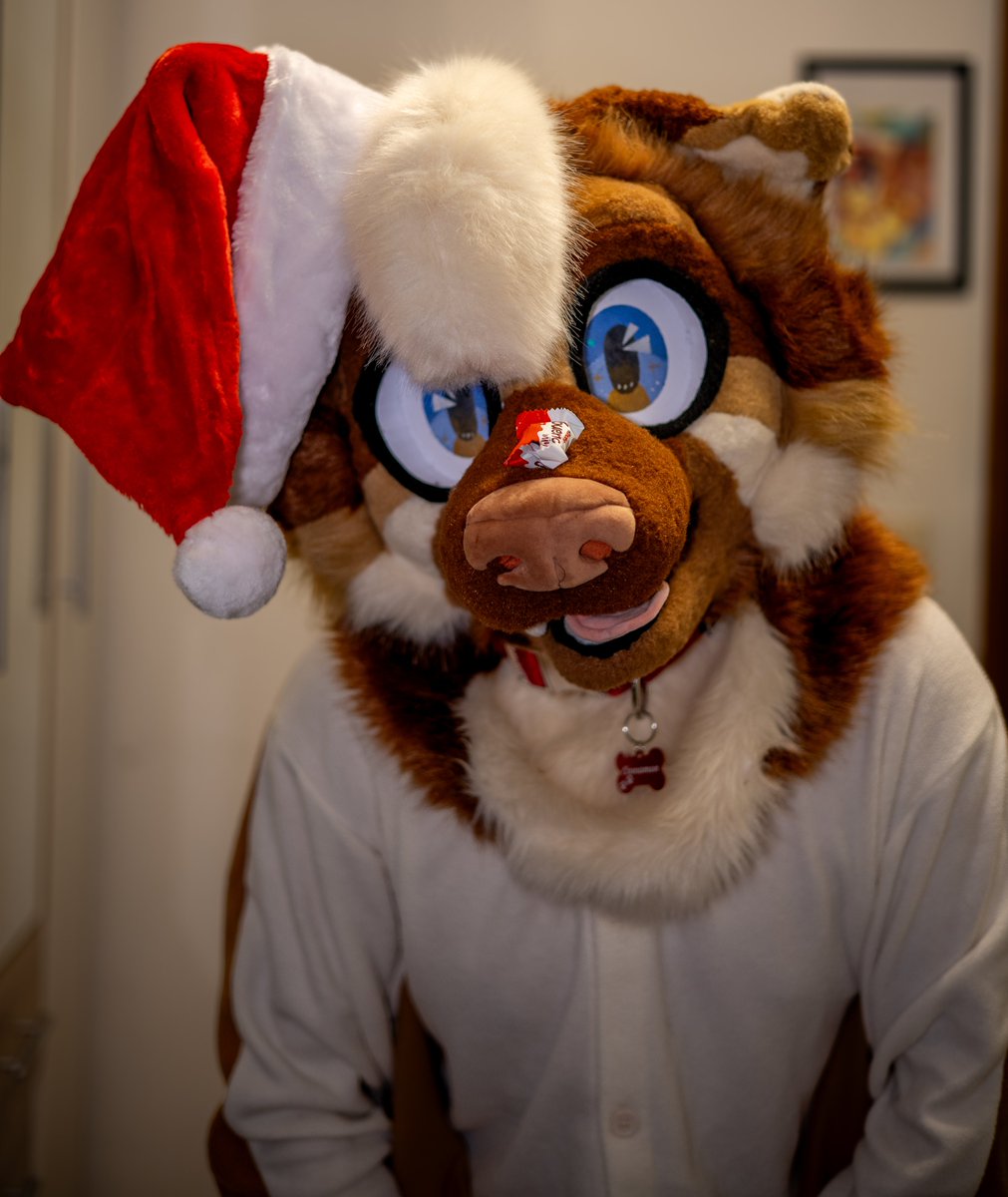 KeksiDragon tweet media