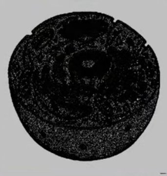 itsD3lay's tweet image. la foto en el libro  //  la foto en el examen