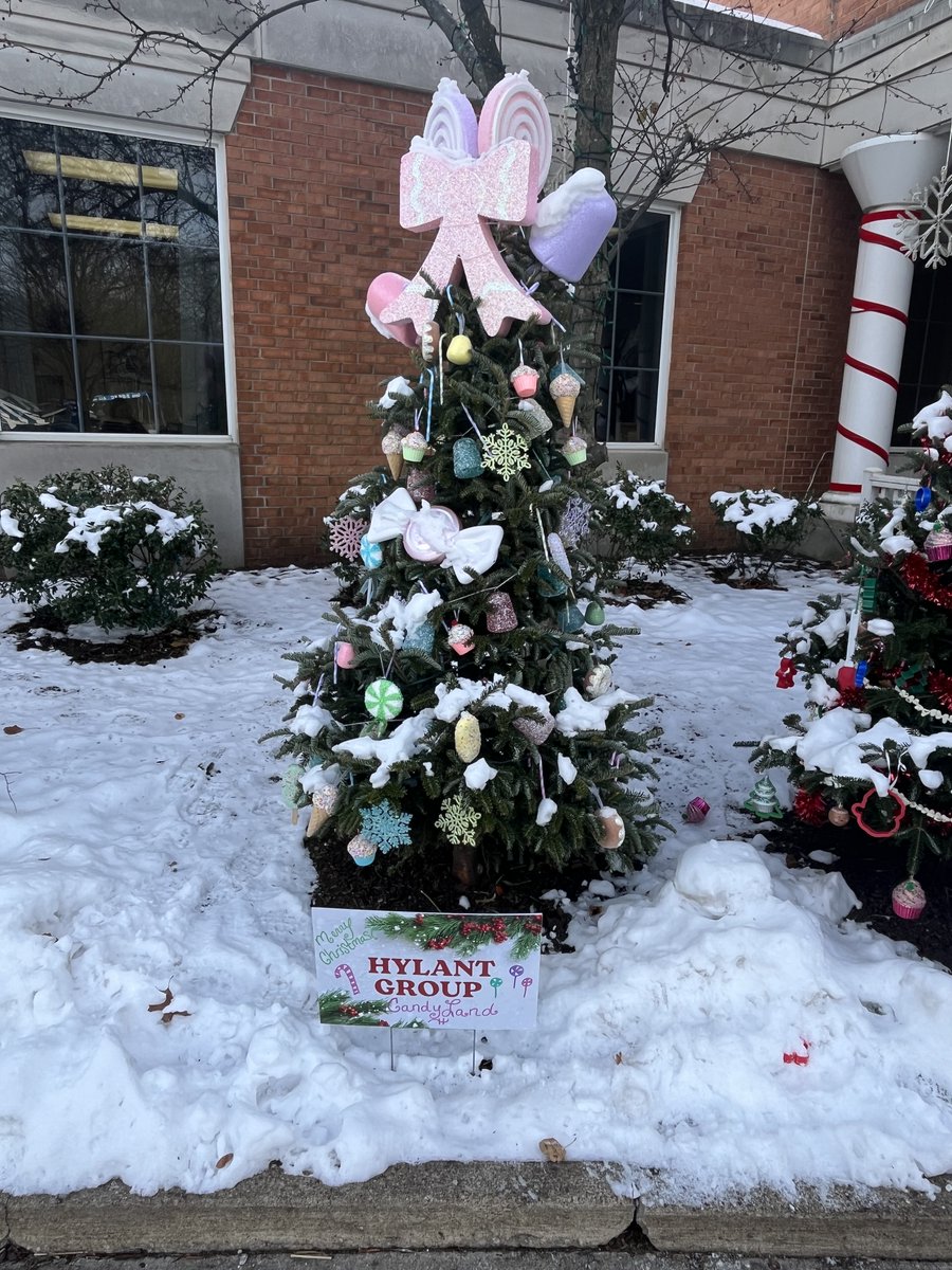 We’re excited to announce the 2025 Avenue of Trees winners:

◽ Youth Organization: Brownie Troop 71469
◽ Adult Organization: IHS PTO
◽ Business Division: Hylant

Thank you to all of the wonderful businesses and local organizations that stepped forward to decorate a tree!