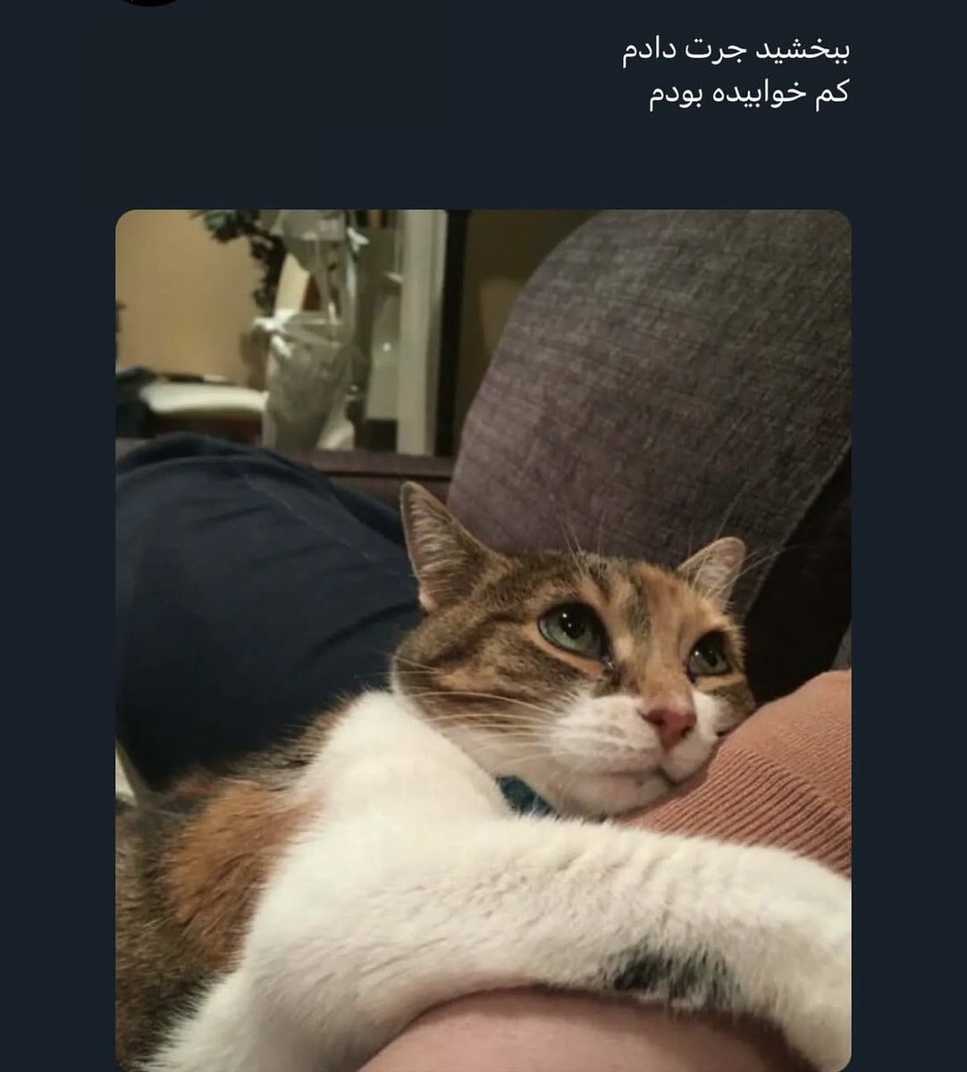 مود من وقتی کم میخوابم یا گشنمه