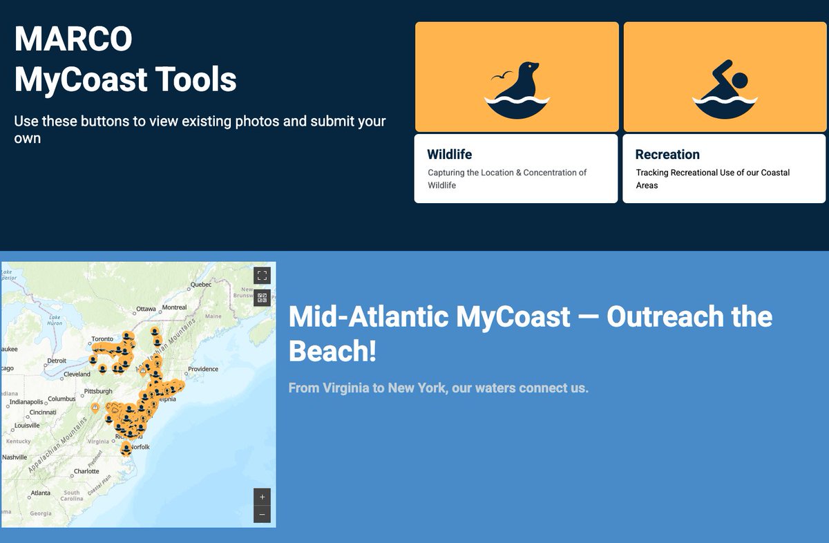 MARACOOS tweet media