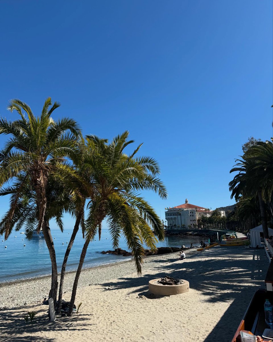 Catalina Express tweet media