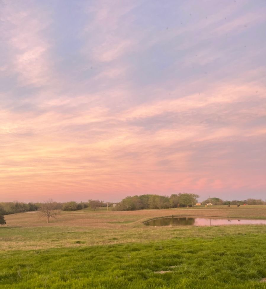 crypticsens's tweet image. hey, raen’s baack. spending the evening watching a pretty sunset while having a little picnic is so relaxing. i should do this more often. 🌸