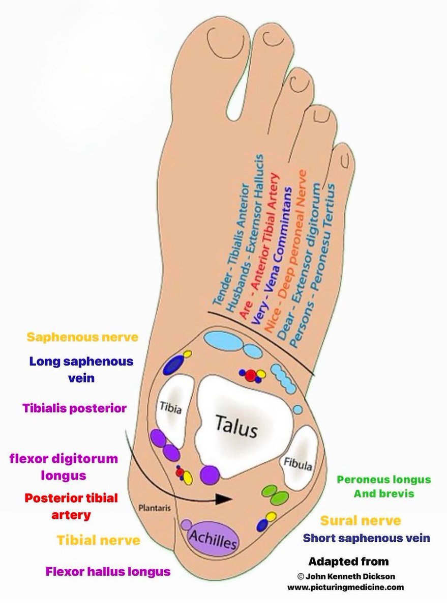 MoAImam's tweet image. Feet.