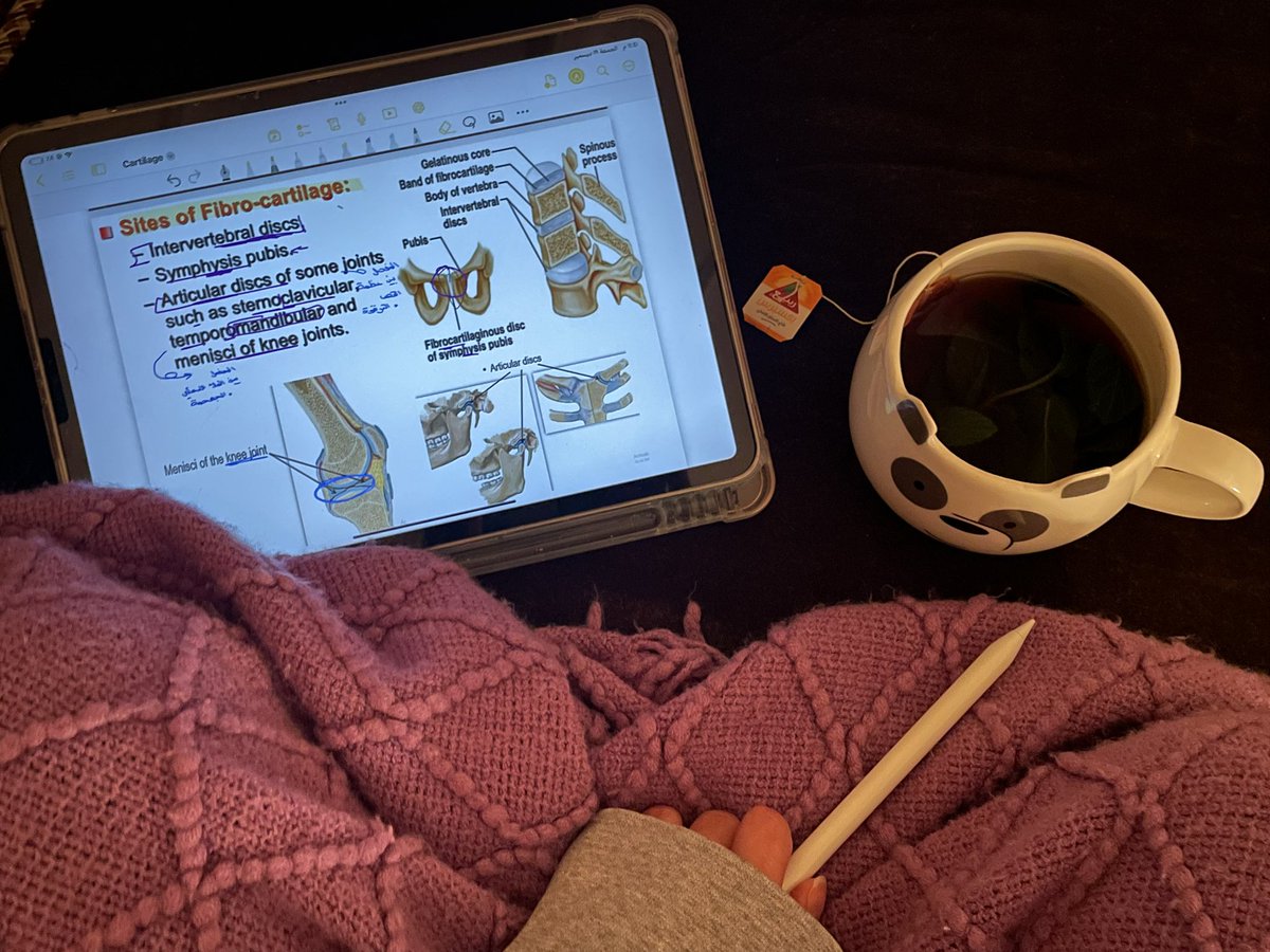 أنا والشاهي وليالي الطب الطويلــــــة