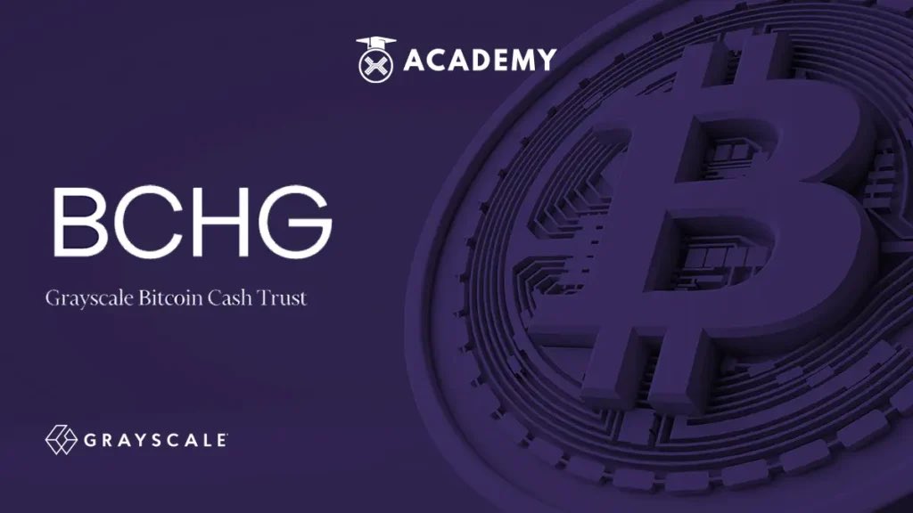 Keep an eye on BCHG!!! <a href="/Grayscale/">Grayscale</a> 

Bitcoin Cash BCH