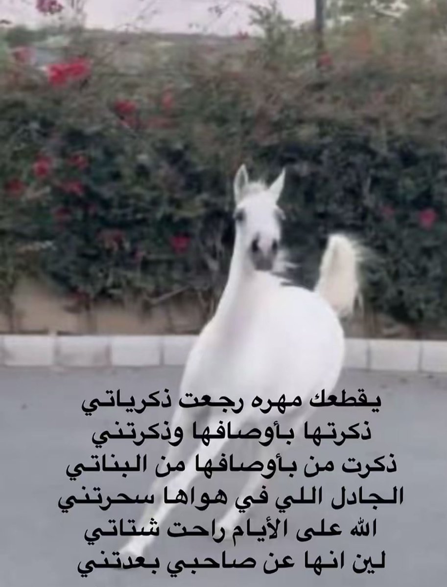 ⚡️ابـوفيصــل⚡️ (@to84ms) on Twitter photo 