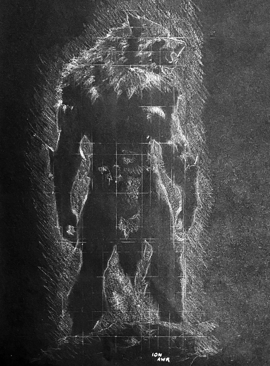 ion_awr's tweet image. #art #werewolf