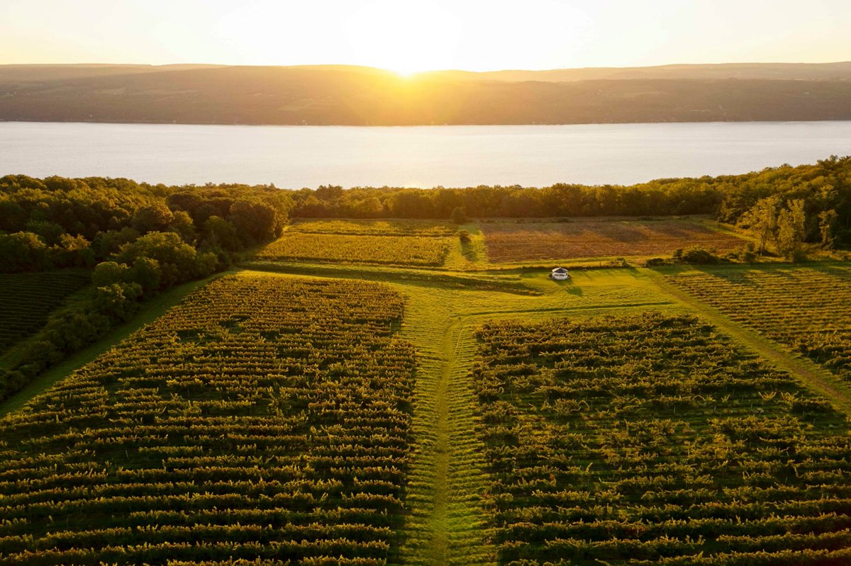 In 2026, our New Year's resolutions include:
✅Protect wine region names 
✅Eliminate trade barriers to wine 
✅Expand our global coalition 
Share your resolutions in the comments below! #LocationMatters