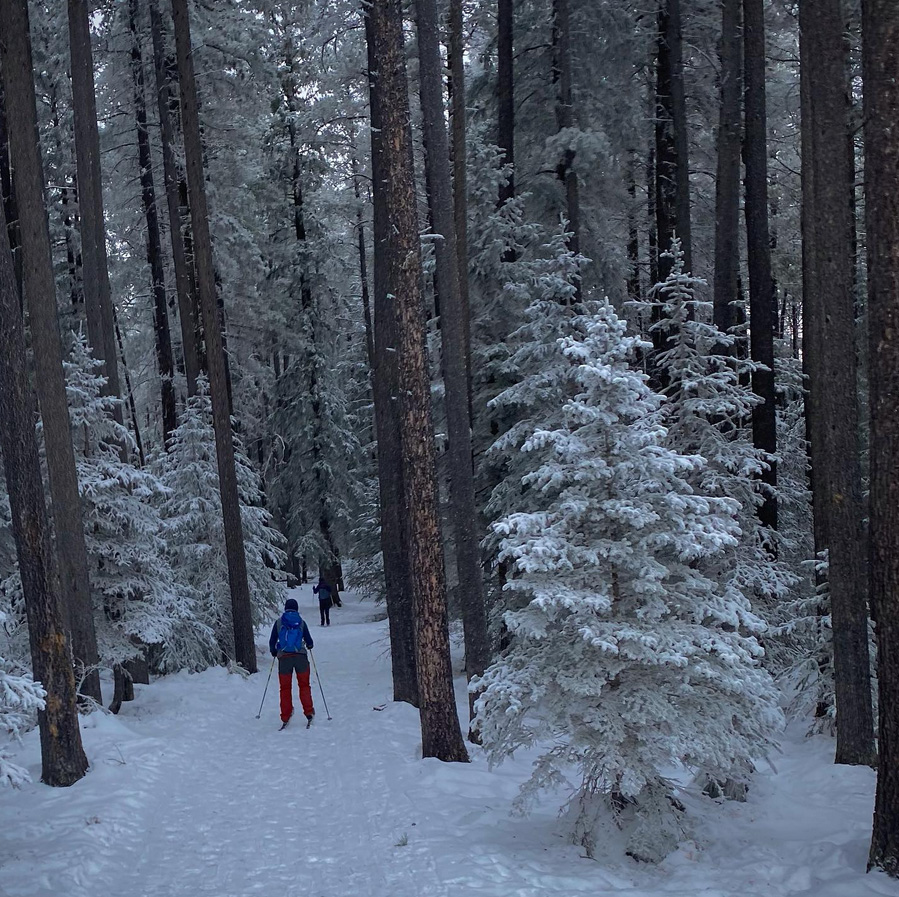 Sask Trails tweet media