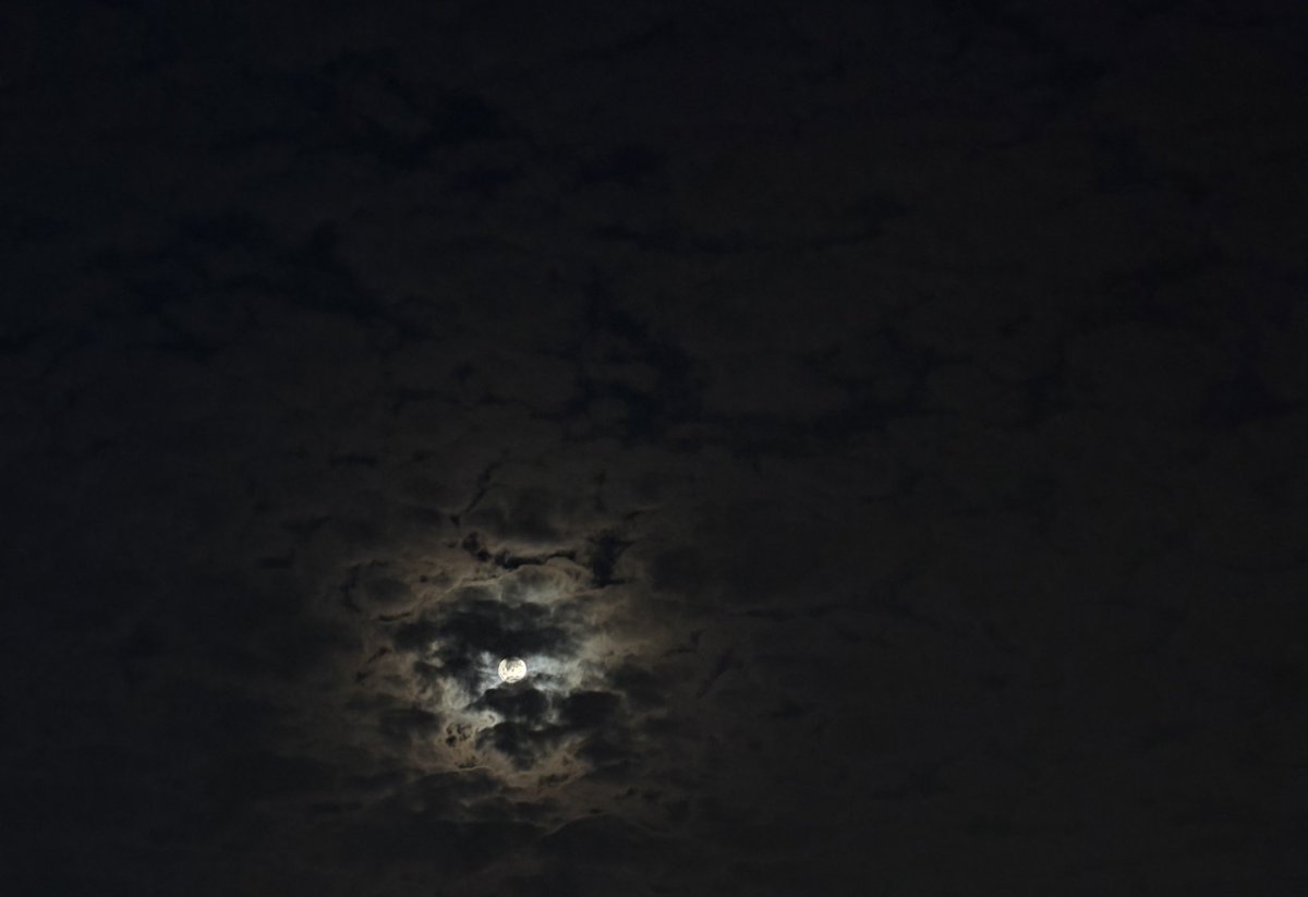 ايش لي بنجوم السما وعندي قمرها ❣️