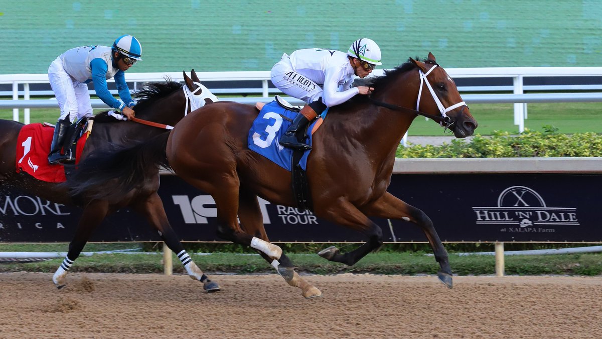 Gulfstream Park tweet media