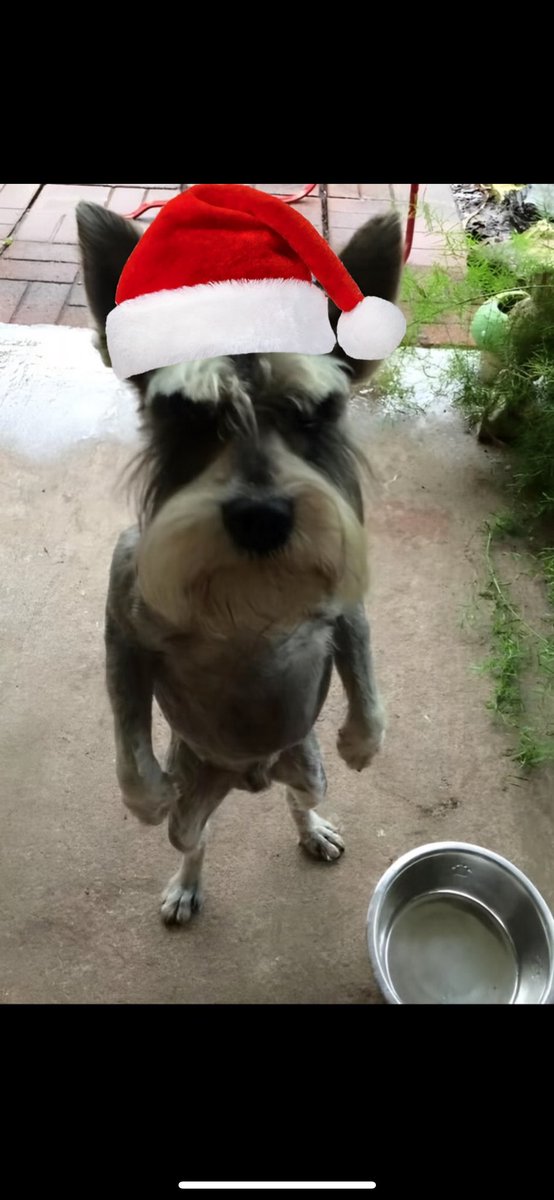 Ho ho ho, ho you fucking looking at