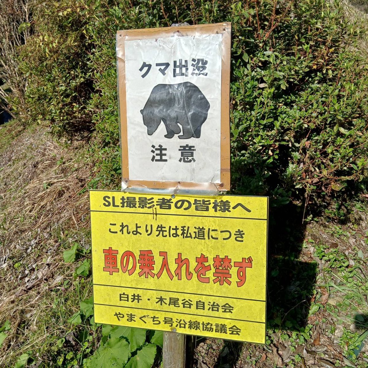 SL応援団事務局@2026年入山許可証受付中 tweet media